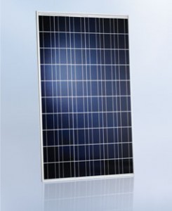 Poly kirstallines Modul aus dem hause Schott Solar.